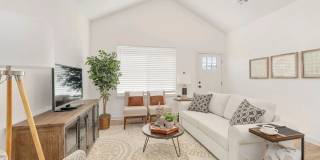 Spacious 3-Bedroom 2-Bathroom Villa Gallery 4