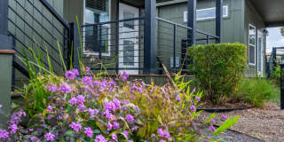 Casata Austin Gallery 43