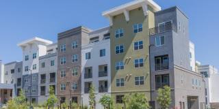 Marlowe Palomar Heights Gallery 39