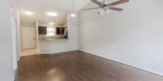 Dunes of Boca Gallery 52