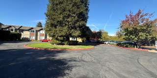 Low income 62+ 1 bedroom at Vista Prieta! Gallery 1