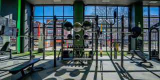 The Chelsea Gallery 16