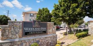 Woodland Park Gallery 21