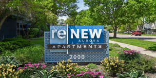 ReNew Aurora Gallery 57