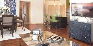 Palmera Apartments Gallery 6