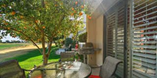 54838 Oak Tree Gallery 33