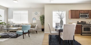 Olympus at The District Gallery 7