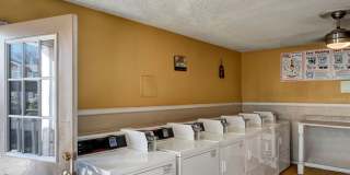 Golden Crest Gallery 14