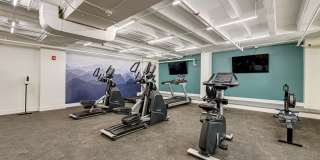 Mont Clare Gallery 15