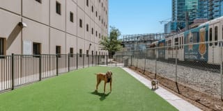 City House Apartments Gallery 25