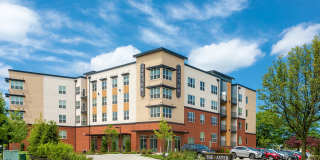 Aster Apartments Gallery 51