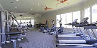 The Cove Apartments Gallery 19