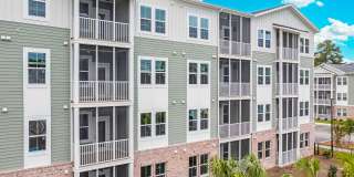 Waterleaf at Salt Creek Gallery 33