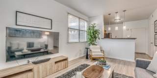Vue Live Oak Gallery 1