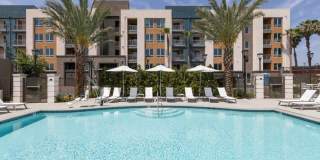 770 South Harbor Gallery 29