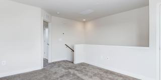 8051 TRIBECA Street Gallery 30