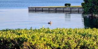 1640 Twelve Oaks Way Gallery 1