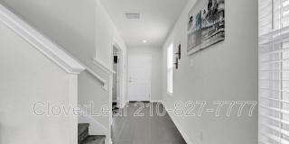 667 Anthem Ln Gallery 4