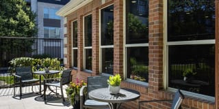 Lake Clearwater Gallery 37