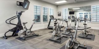 North Village Gallery 12