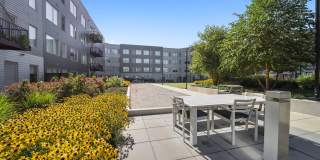 District 1860 Gallery 18