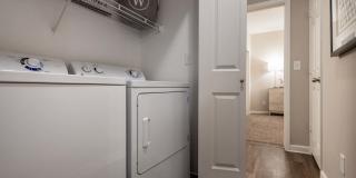 The Windsor Gallery 26