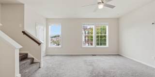 4827 FOREST PINES Drive Gallery 19