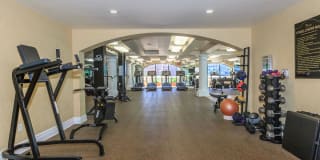 The Piero Gallery 96