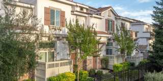 Adora Townhomes Gallery 9