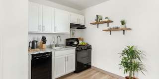 Kingston Apartments Gallery 3