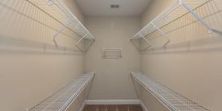 Red Knot at Edinburgh Gallery 19