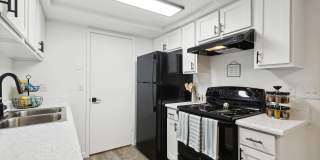 ReNew Flagstaff East ReNew Flagstaff East Gallery 1