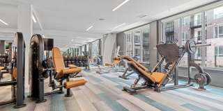 Legacy at Fitz Gallery 15