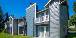 Black Lake Gallery 36