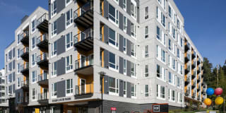 Hyde Square Gallery 44