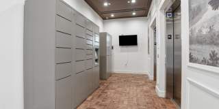 The Fitz Gallery 23