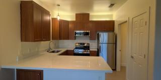 Polo Villas Gallery 1