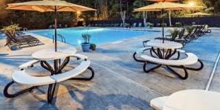 Cobalt Springs Gallery 9