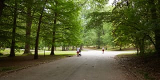 The Penman Apartments Gallery 62