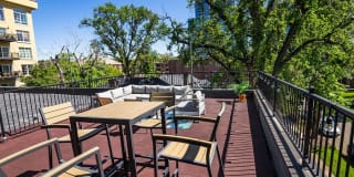 50 Corona Gallery 10