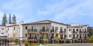 Allegro Lynwood Gallery 21