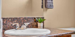VALUE-PACKED 4 BEDROOM HOME WITH LARGE WALK-IN CLOSETS NEAR UNR Gallery 58