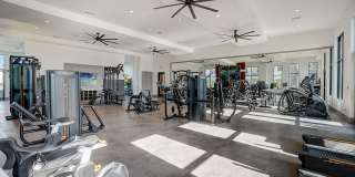 Ilumina Zephyrhills Gallery 4