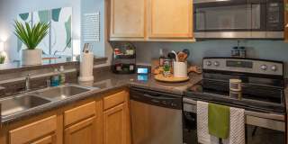 Yugo Lexington Campus Court Gallery 23