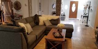 WINTER RENTAL 2026-2027 Gallery 16