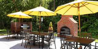 Abberly Twin Hickory Gallery 16