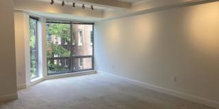 44 Prince St. Gallery 7