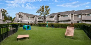 The Sycamores Apartments Gallery 17