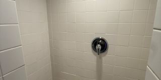 New King Edward Gallery 1037