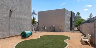 Newport Apartments Gallery 27